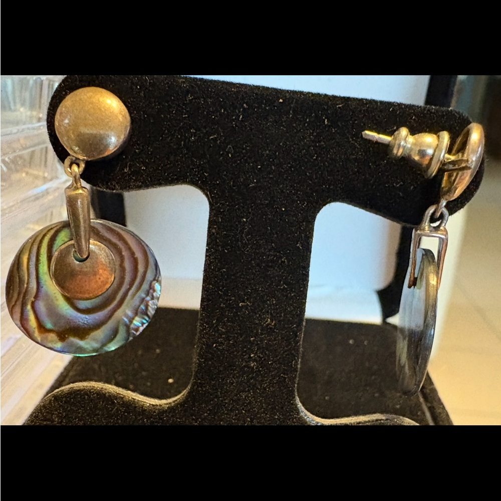 Iridescent Abalone Drop Earrings - Women Jewelry